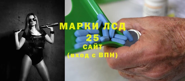 прущие грибы Нефтекумск