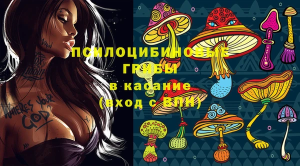 прущие грибы Нефтекумск